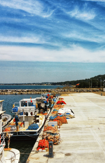 Image link